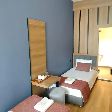 Besiktas Konuk Evi Hotel Hotel Istanbul